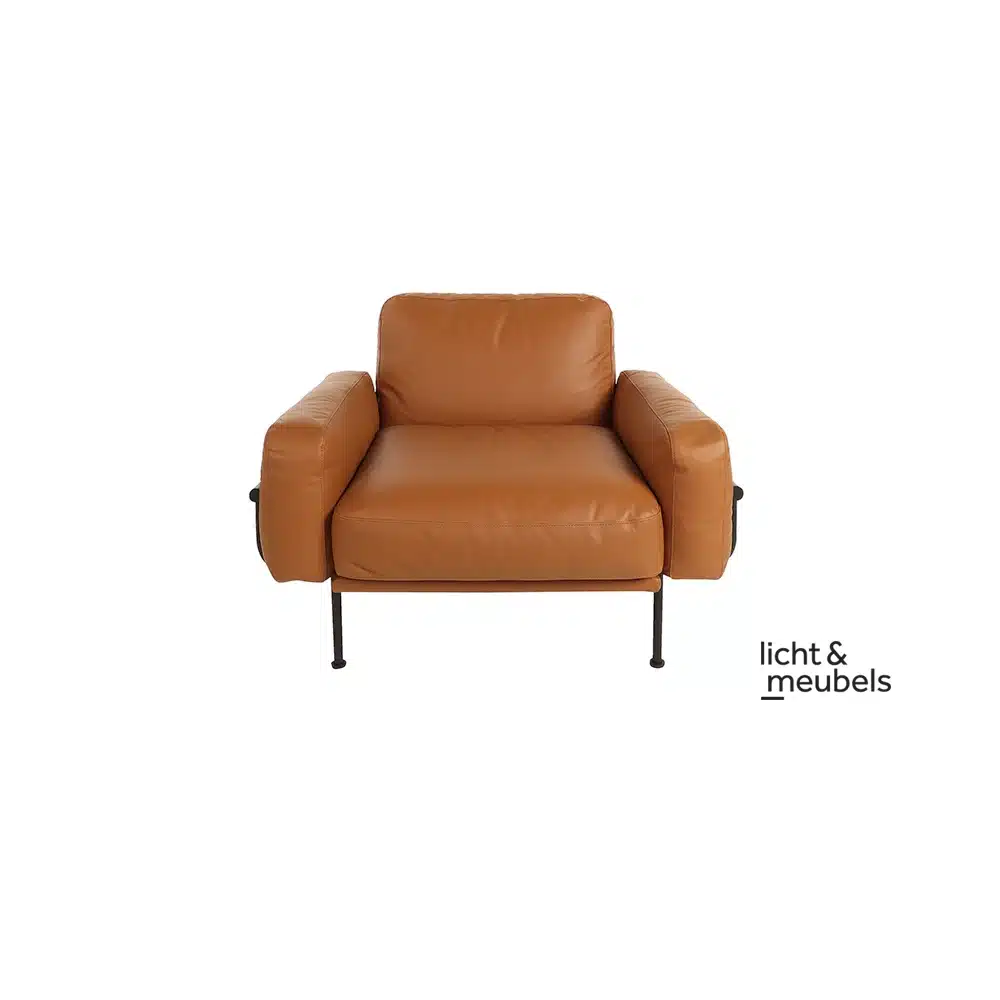 Gelderland sofa 10030 Hebe armchair armchair leather front